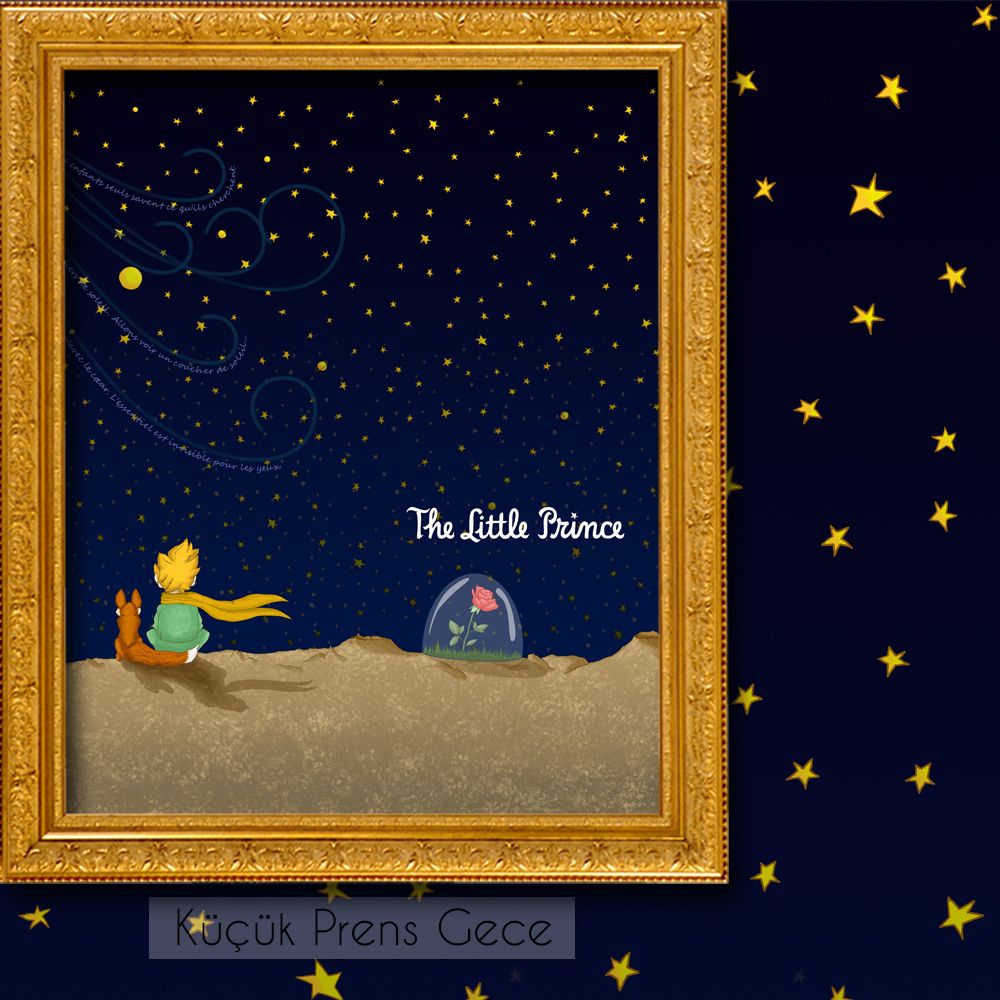 Illustration of 'The Little Prince' with a gold frame against a starry night sky.